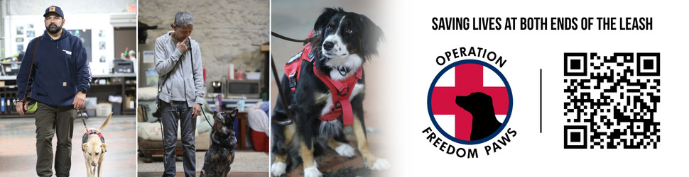 operation freedom paws, northern california non-profit, service dog training