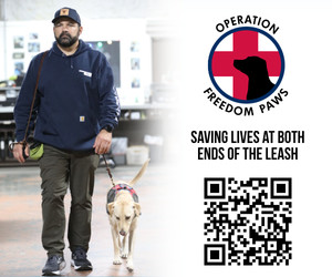 operation freedom paws, northern california non-profit, service dog training