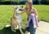 Best of Family & Pets 2026 Best of Family & Pets 2026