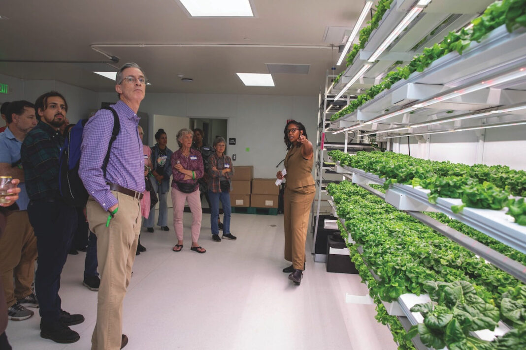 Vertical gardens feed prisons and communities