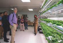 Vertical gardens feed prisons and communities Vertical gardens feed prisons and communities