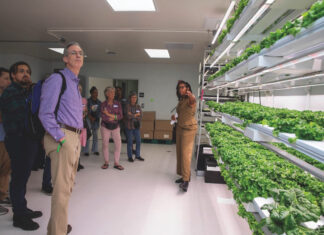 Vertical gardens feed prisons and communities Vertical gardens feed prisons and communities