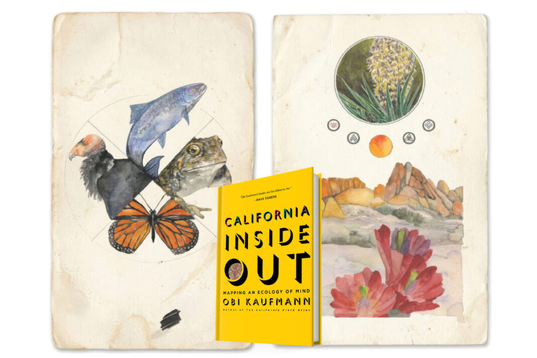 Obi Kaufmann reframes California's ecological future